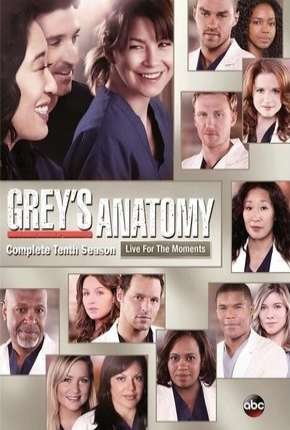 Capa do torrent Greys Anatomy - 10ª Temporada - Completa