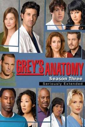Capa do torrent Greys Anatomy - 3ª Temporada - Completa