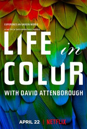 A Vida em Cores com David Attenborough - 1ª Temporada Completa Dublada