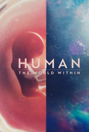 Corpo Humano - Nosso Mundo Interior - 1ª Temporada Completa Dublada