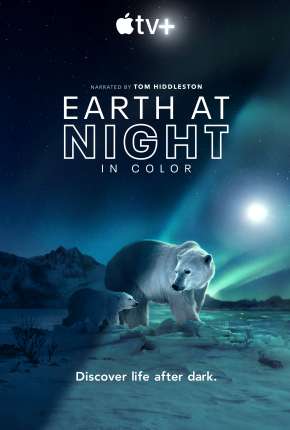 Noite na Terra em Cores - 1ª Temporada Completa Legendada 