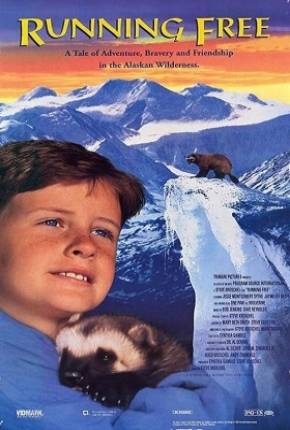 Capa do torrent Férias no Alaska