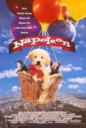 Capa do torrent Napoleon, as Aventuras de um Cãozinho Valente