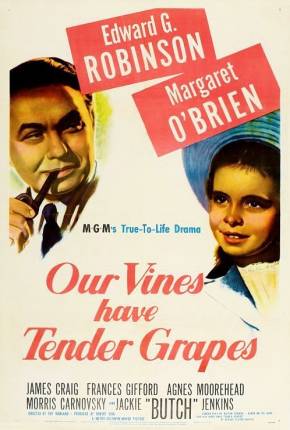 Capa do torrent O Roseiral da Vida / Our Vines Have Tender Grapes