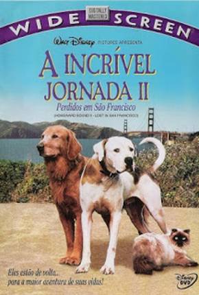 Capa do torrent A Incrível Jornada 2 - Perdidos em São Francisco