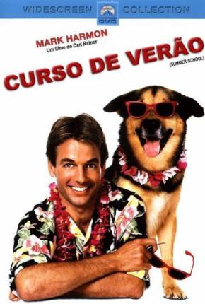 Capa do torrent Curso de Verão / Summer School