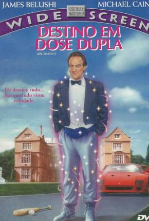 Capa do torrent Destino em Dose Dupla / Mr. Destiny